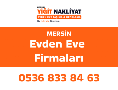 Evden Eve Firmaları