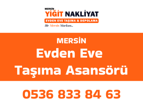 Evden Eve Taşıma Asansörü