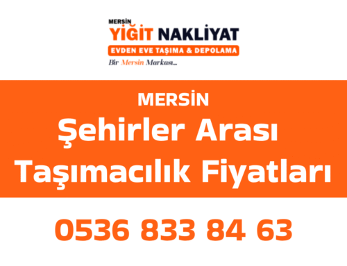 Şehirler Arası Taşımacılık Fiyatları