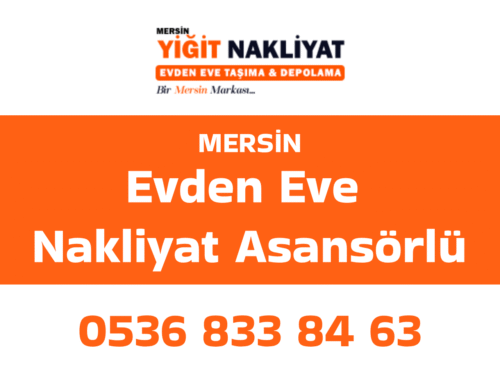 Evden Eve Nakliyat Asansörlü
