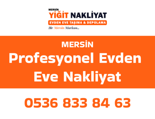 Profesyonel Evden Eve Nakliyat